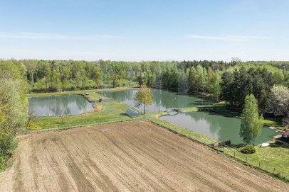 Działka Sprzedaż Zimnice