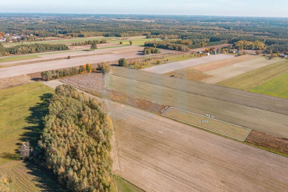 Działka Sprzedaż Krajęczyn