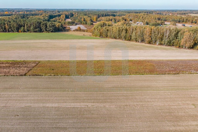 Działka Sprzedaż Krajęczyn