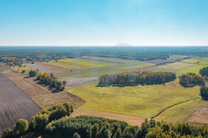 Działka Sprzedaż Krajęczyn 16