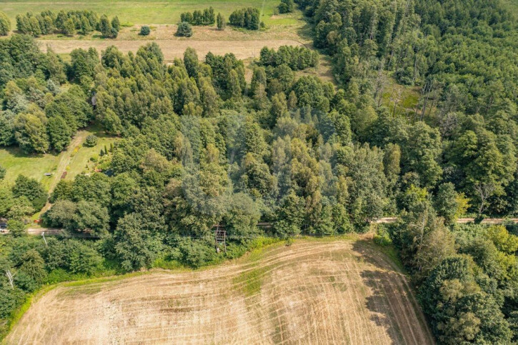 Działka Sprzedaż Rowy 5