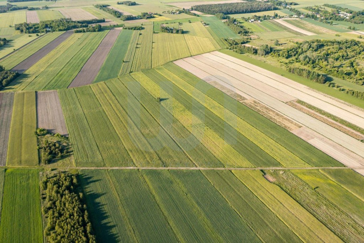 Działka Sprzedaż Błogosławie 3